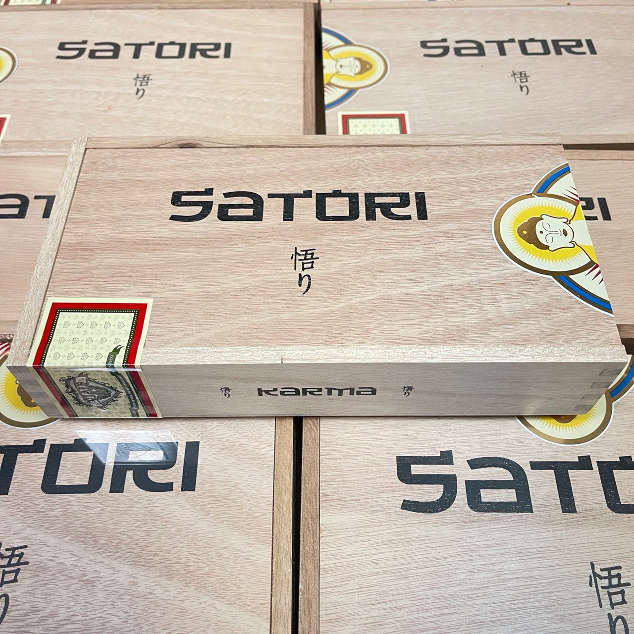 Viaje Satori Karma - Image 2
